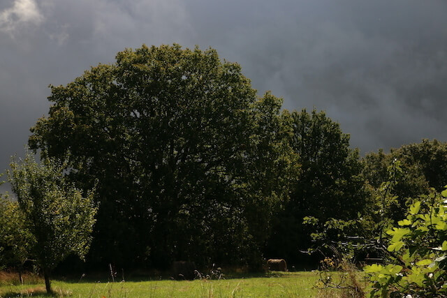 orage