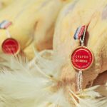 Concours de volailles