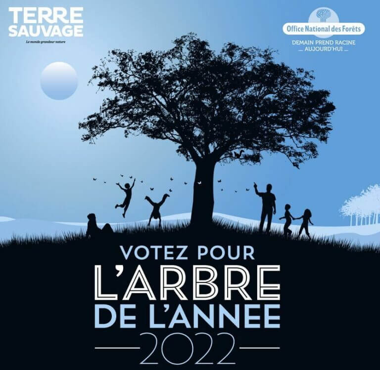 affiche de l'année 2022