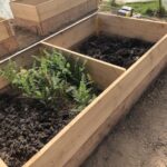 La construction d’un carré potager reste une solution facile à mettre en œuvre.