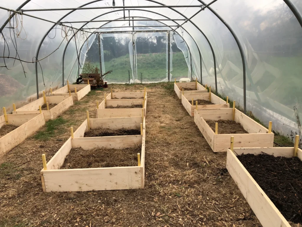 Carrés potagers surélevés installés dans une serre avant leur mise en culture