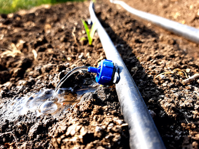 drip slowly to the roots of plants, either from above the soil surface or buried below the surface. The goal is to place water directly into the root zone and minimize evaporation. Selective focus.