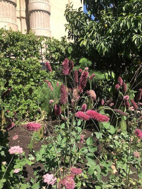 Installé à côté de l'orangerie, ce jardin de 200 m² transporte le visiteur sur la Riviera.