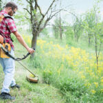 Young Caucasian man in red checkered shirt using string power trimmer to cut tall grass in an orchard, rear view