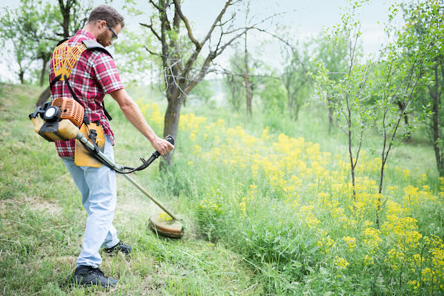 Young Caucasian man in red checkered shirt using string power trimmer to cut tall grass in an orchard, rear view