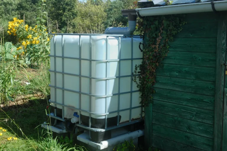 Tonne à eau de 1 000 litres raccordée à une gouttière pour récupérer l’eau de pluie et arroser le jardin.