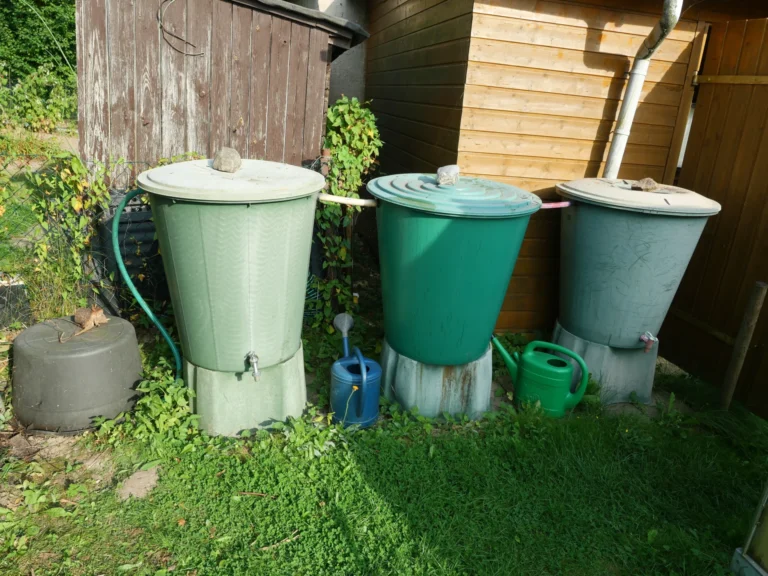 rois récupérateurs d’eau de pluie reliés entre eux pour augmenter la capacité de stockage.