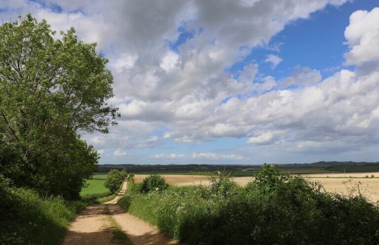 Bocage