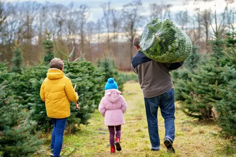 Un père et ses deux enfants repartent avec un sapin de Noël