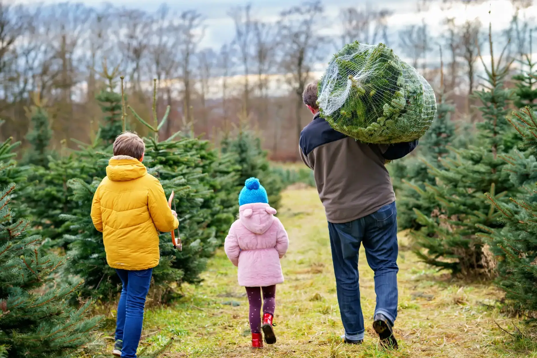 Un père et ses deux enfants repartent avec un sapin de Noël