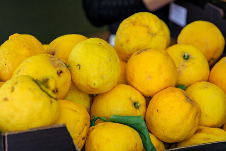 étal de citrons