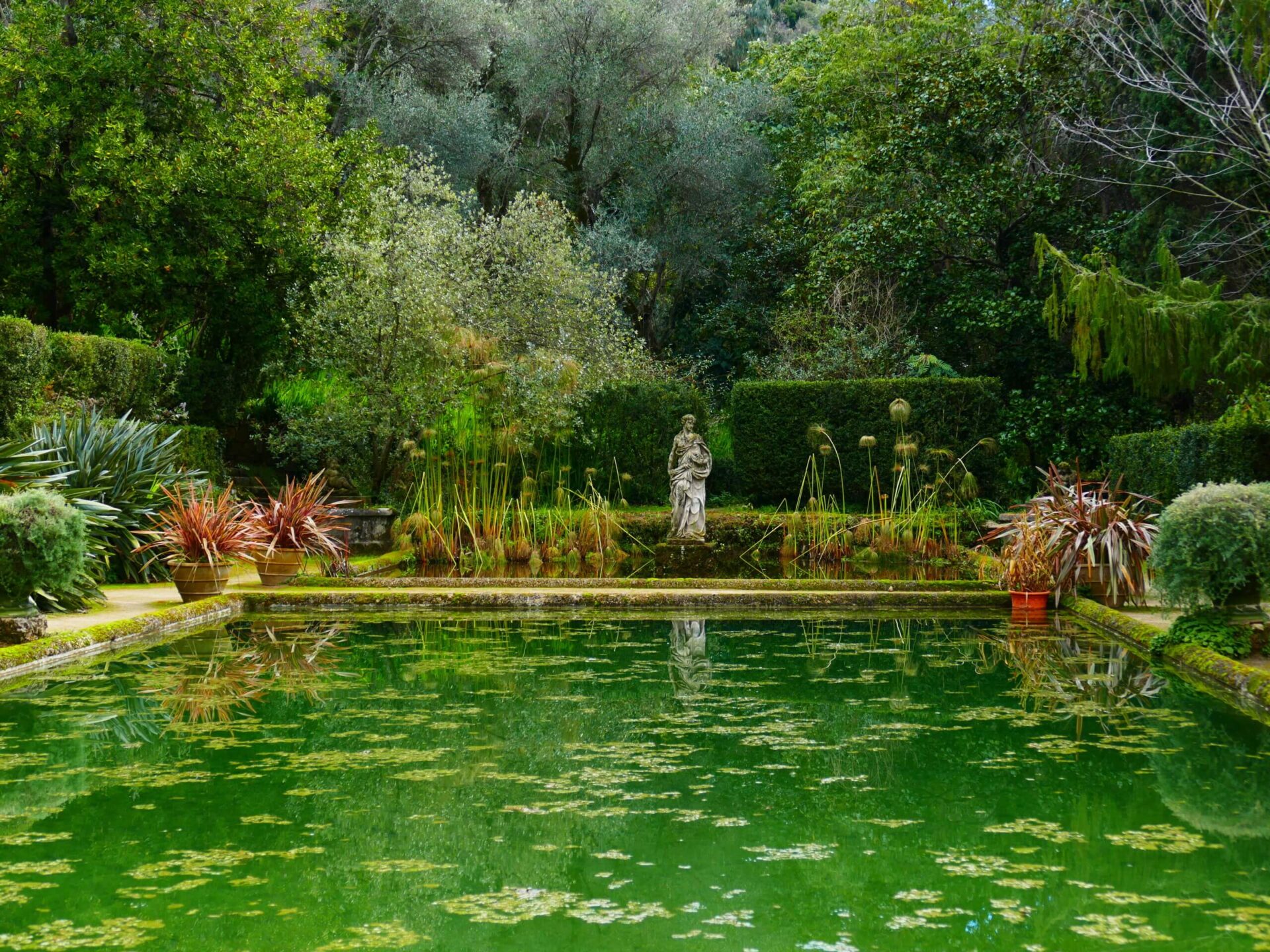 Les Serres de la Madone, Menton, Alpes maritimes