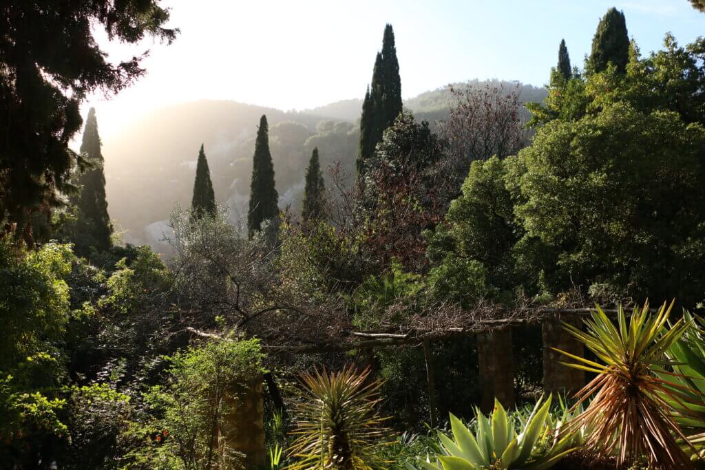 vue sur le val de Gorbio depuis la serre de la Madone