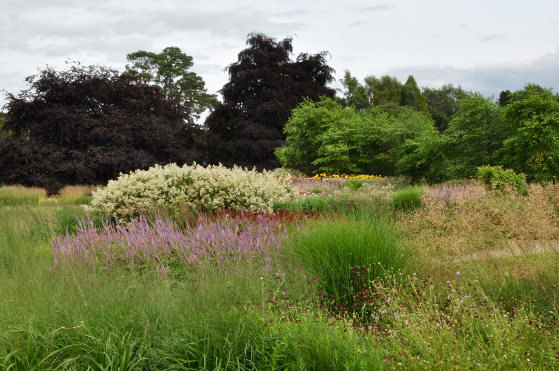 vue du jardin naturaliste de Trentham Gardens