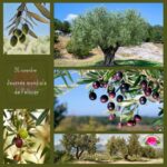 Affiche illustrant la Journée mondiale de l’olivier, avec des images d’oliviers et de leurs fruits dans des paysages méditerranéens.