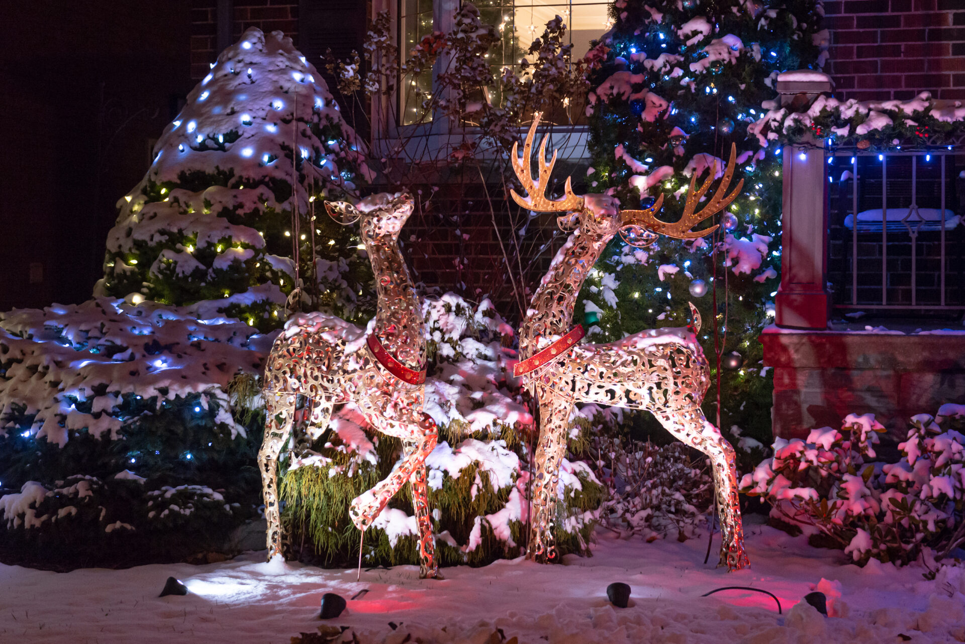 Décorations extérieures de Noël avec deux rennes lumineux et un sapin enneigé illuminé de guirlandes