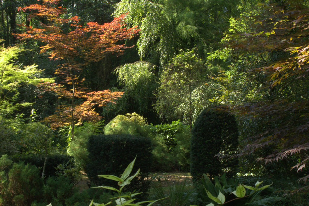 Paysage du Jardin d’Îles à l’arboretum de Meung-sur-Loire, mettant en valeur des érables japonais et des arbustes taillés dans un écrin de verdure. Photo par Ancoline/Flickr.