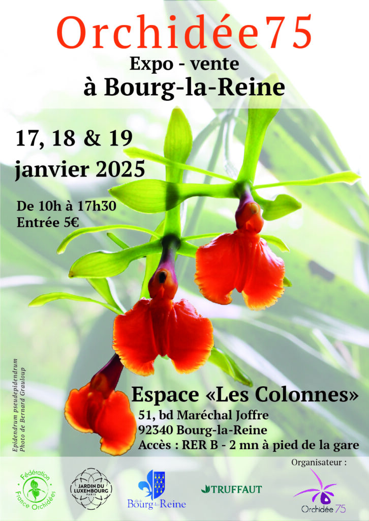 Affiche de l’exposition-vente Orchidée75 à Bourg-la-Reine, mettant en avant une orchidée Epidendrum pseudepidendrum rouge et orange, organisée du 17 au 19 janvier 2025.