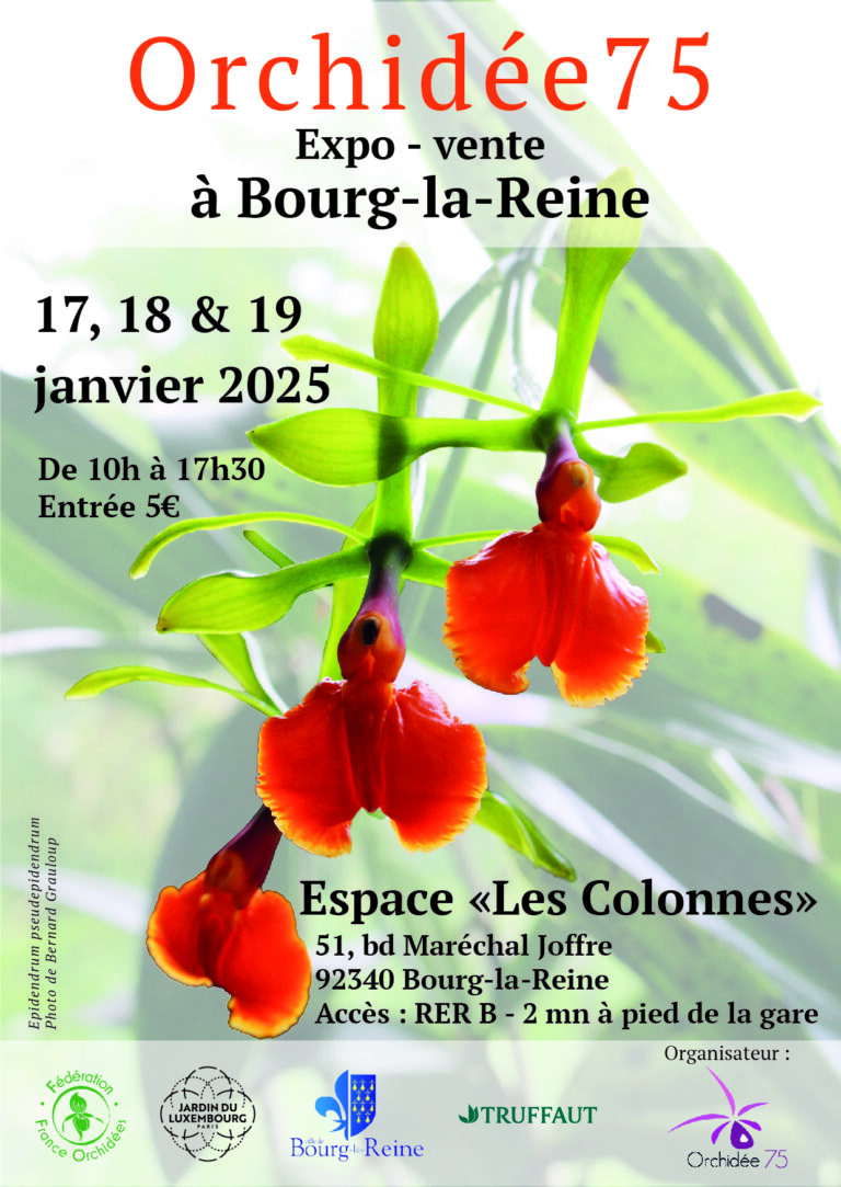 Affiche de l’exposition-vente Orchidée75 à Bourg-la-Reine, mettant en avant une orchidée Epidendrum pseudepidendrum rouge et orange, organisée du 17 au 19 janvier 2025.
