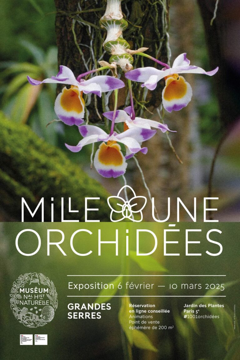 Affiche de l’exposition Mille & Une Orchidées 2025 avec une orchidée suspendue et les dates de l’événement aux Grandes Serres du Jardin des Plantes.