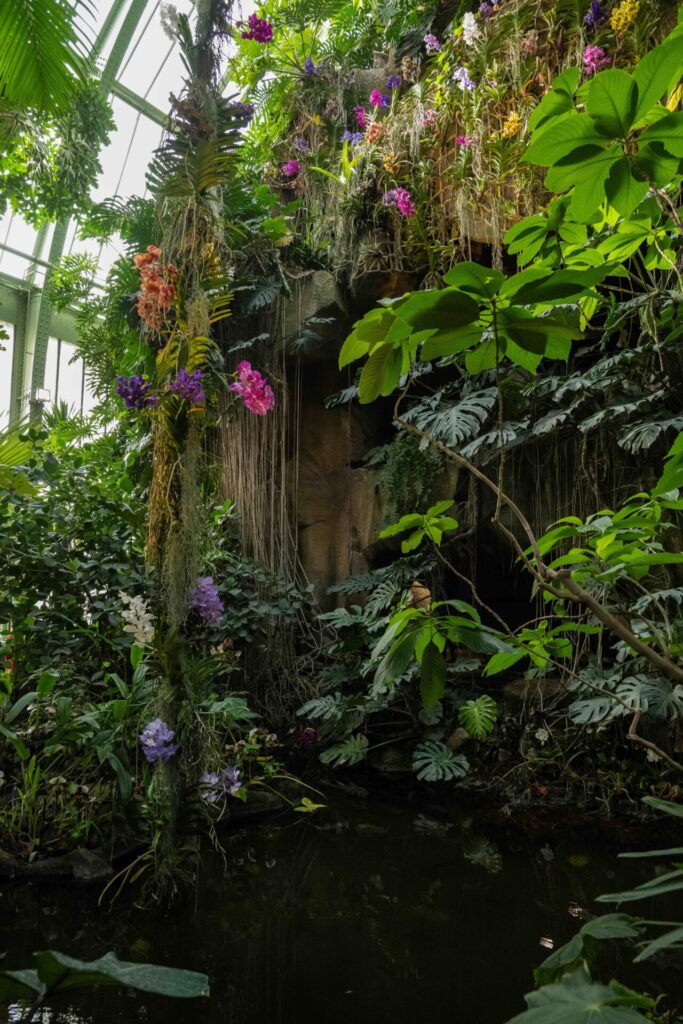 Orchidées colorées suspendues dans une serre tropicale, entourées d’un feuillage dense lors de l’exposition Mille & Une Orchidées 2025 à Paris.