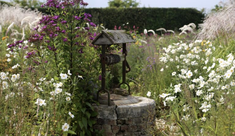 Vue du Jardin Plume en Normandie en juin, avec un puits ancien entouré de vivaces en fleurs dans un style naturaliste.