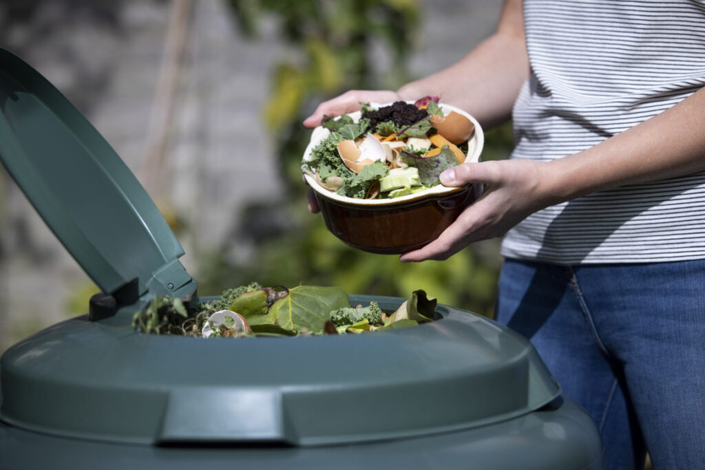 Ajout de déchets de cuisine dans un composteur de jardin en été