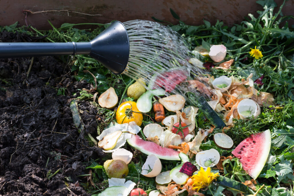 Arrosoir arrosant des déchets de cuisine sur un compost en été, avec épluchures de légumes, coquilles d’œufs et restes de fruits.