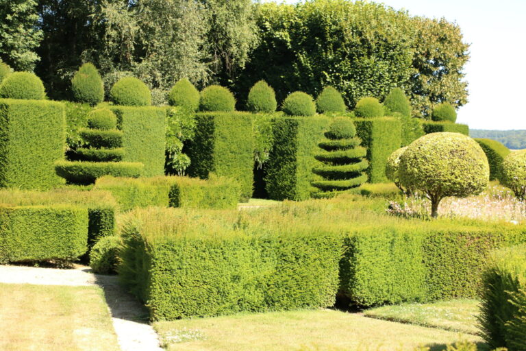 Chambre de topiaires dans les jardins du château de La Ballue en Bretagne