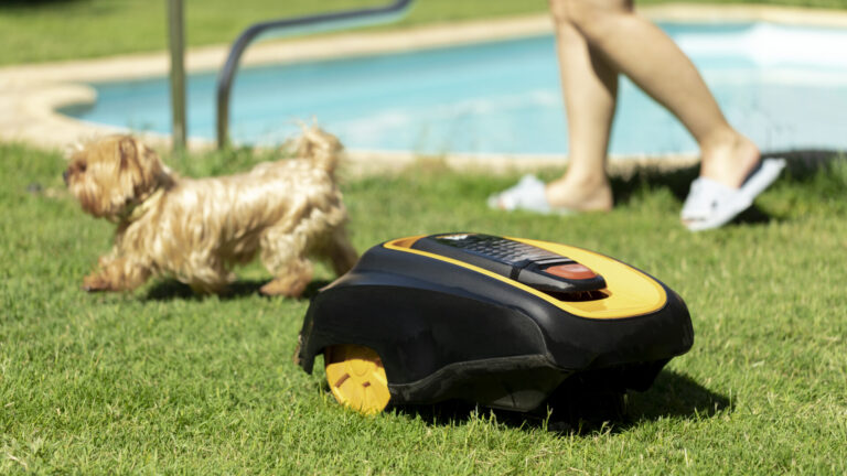 Robot tondeuse autonome en fonctionnement sur une pelouse, avec un petit chien et une personne marchant près d’une piscine