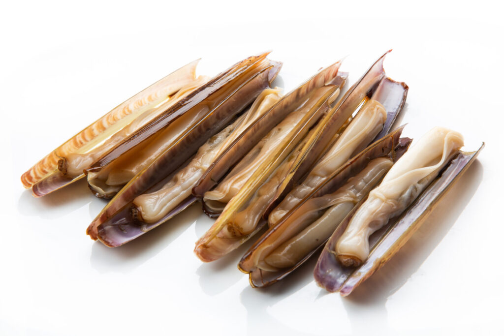 Couteaux de mer (Ensis spp.), coquillages allongés en forme de tubes brunâtres.