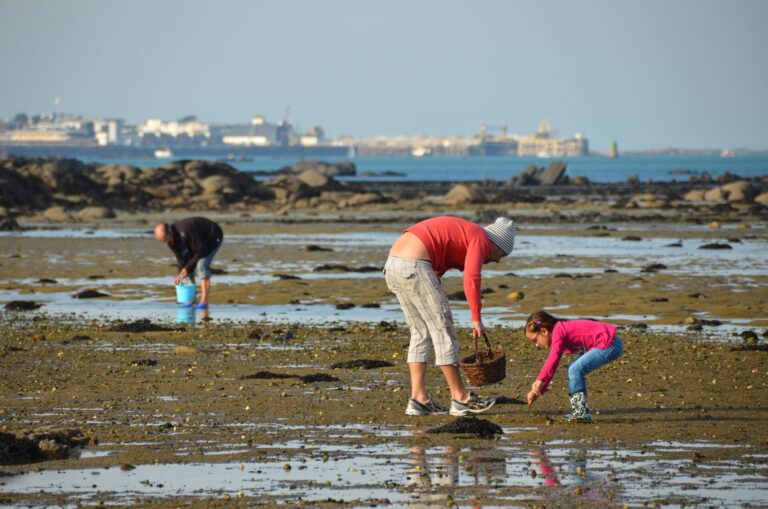 Famille pratiquant la pêche à pied sur l’estran à marée basse, un adulte et un enfant ramassant des coquillages.