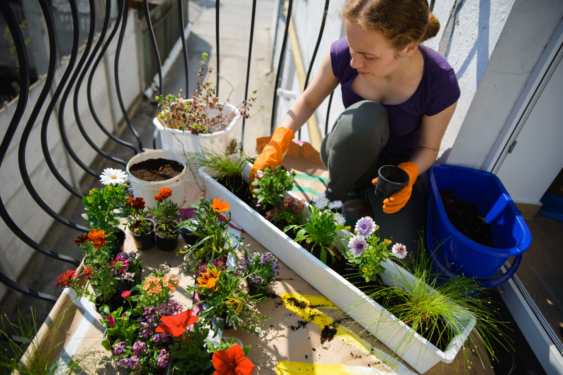 Jeune femme en gants orange qui plante des fleurs colorées dans une jardinière sur son balcon urbain, symbole du retour des jeunes au jardinage.