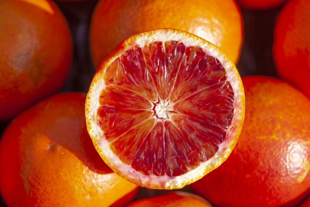 Orange sanguine coupée montrant sa chair rouge intense, variation de l’orange douce