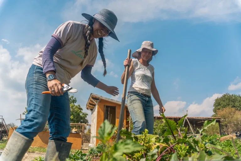 Deux jardinières travaillent dans un potager familial au Mexique, appelé huerto familiar.