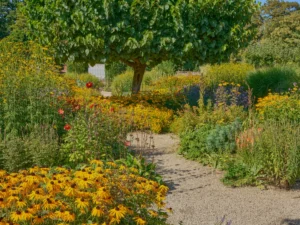 Jardin de curé associant légumes, fleurs et plantes aromatiques