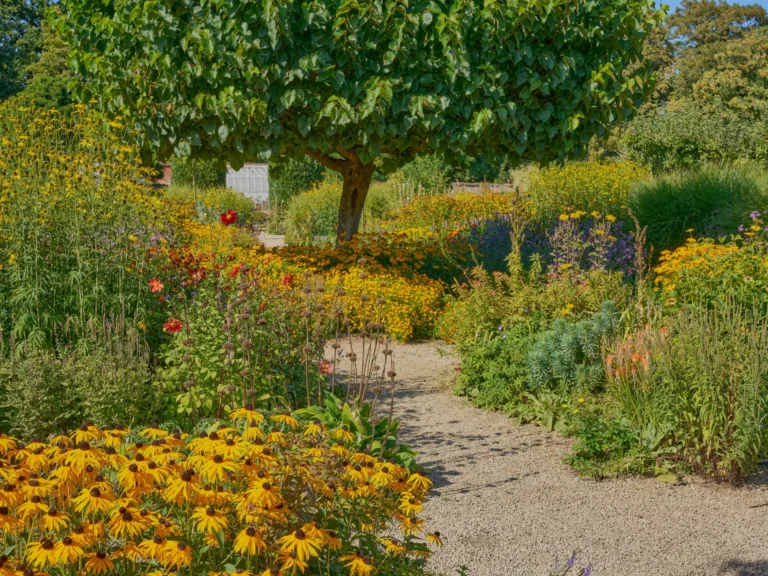 Jardin de curé associant légumes, fleurs et plantes aromatiques