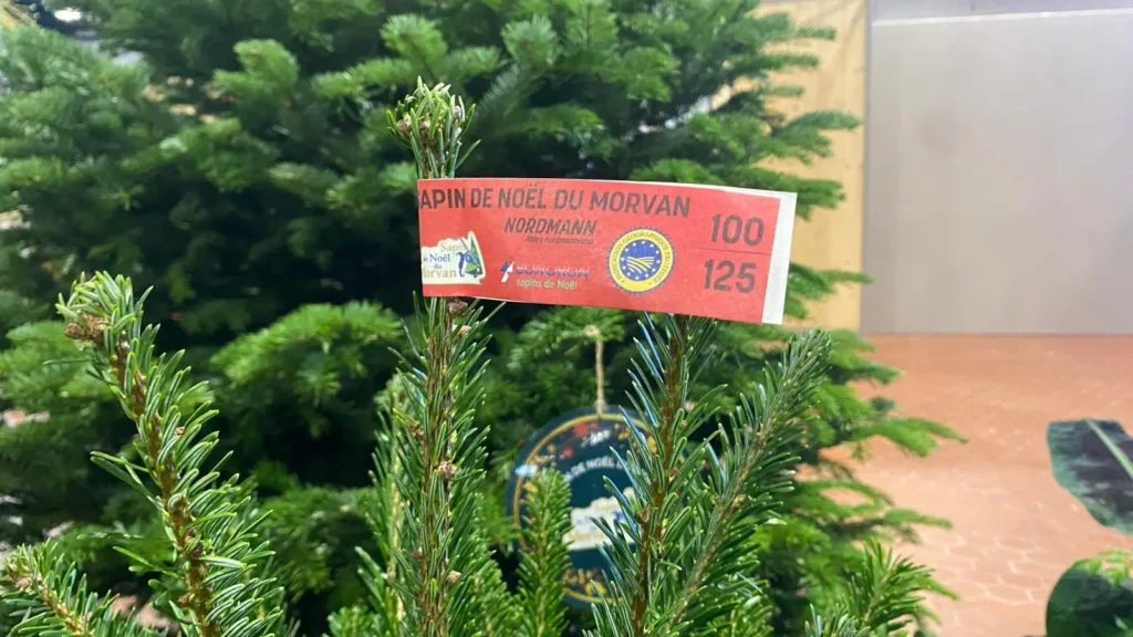 Étiquette IGP sur un sapin de Noël du Morvan