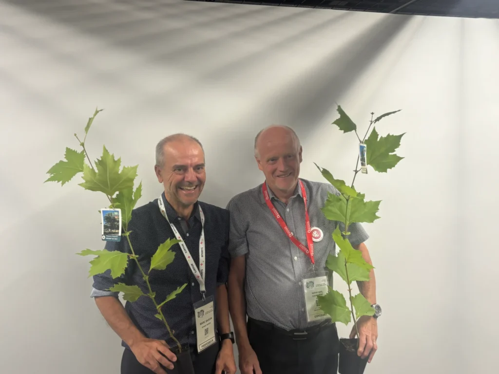 Marc Bardin et Hubert Dupont présentent deux jeunes platanes Endura